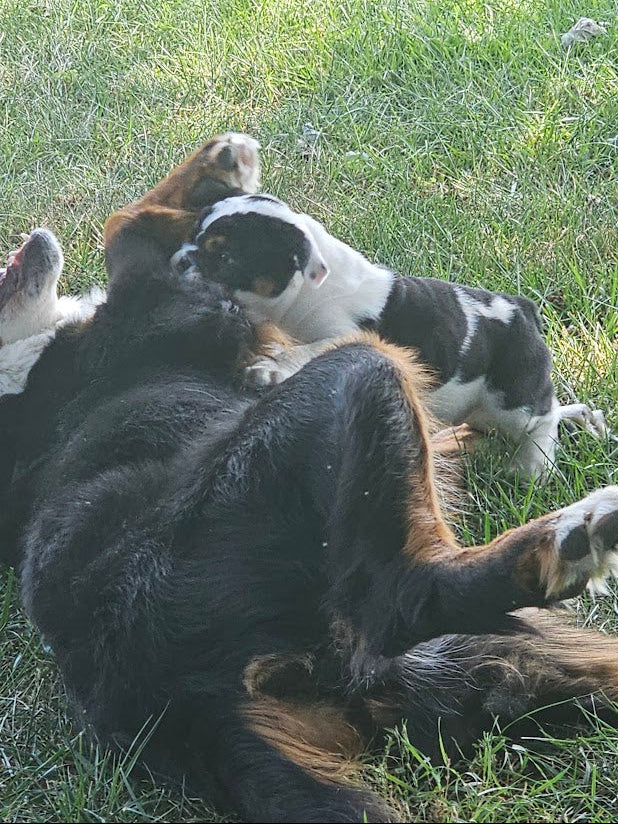 Unconfirmed AC Casper