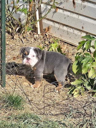 Unconfirmed Versa's Child